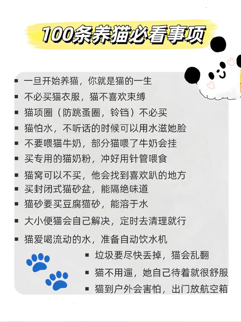 養(yǎng)貓必備，打造貓咪幸福生活的全攻略