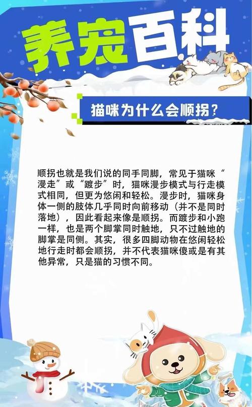 貓咪為何會(huì)散發(fā)出難聞氣味？揭秘貓咪手臭背后