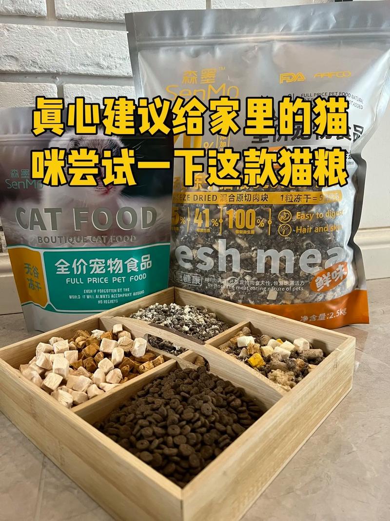 貓咪的溫暖食光，探索凍干糧的魅力