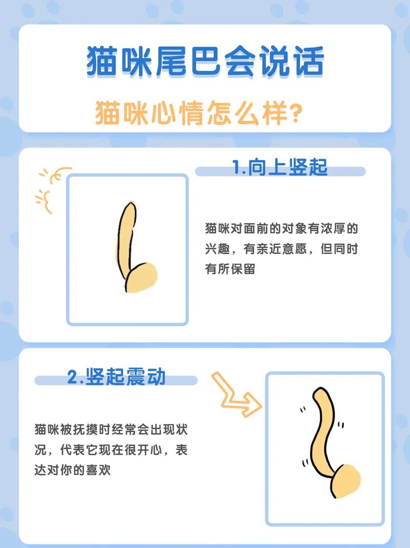 貓咪叫喚的神秘語(yǔ)言，探秘背后隱藏的原因