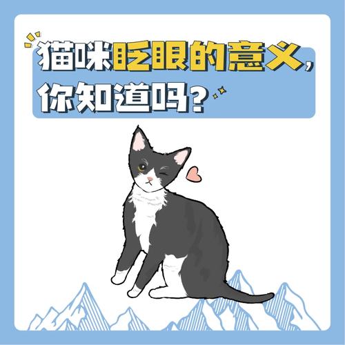 揭秘貓咪眨眼的秘密，為什么它們會如此頻繁地眨眼？