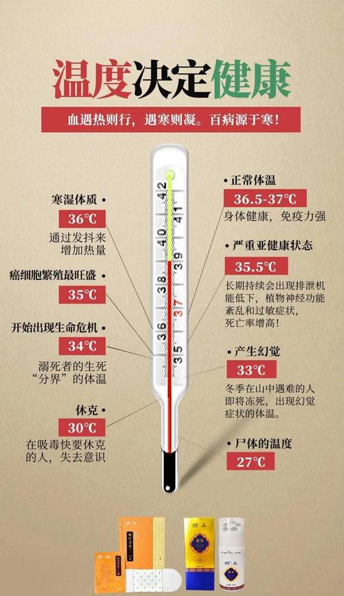 貓咪發(fā)燒顫抖？了解寵物體溫調節(jié)的秘訣