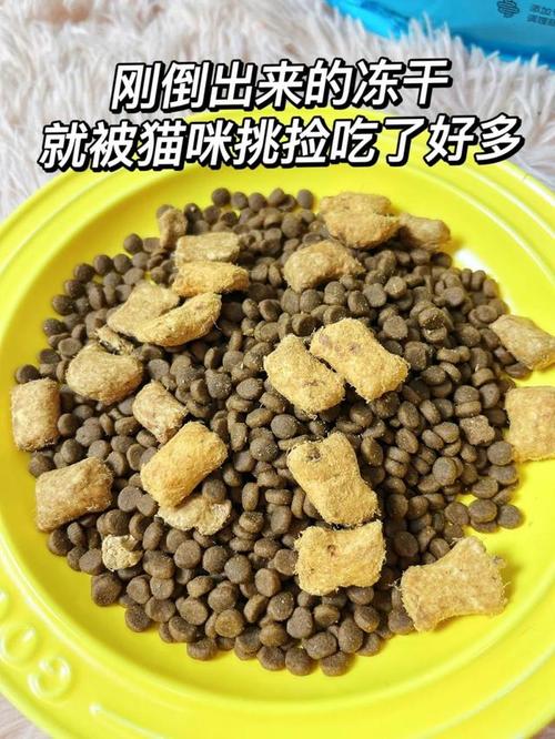 貓咪胡亂拉屎？從飲食到環(huán)境的全面指南