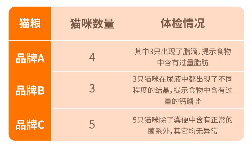 揭秘貓咪健康密碼，年度體檢報(bào)告解析