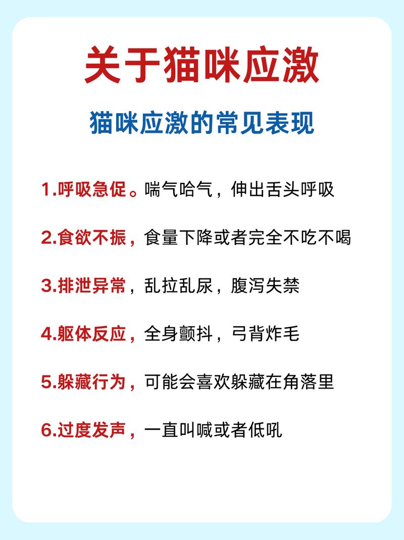 貓咪頻繁顫抖？了解可能的原因和如何應對