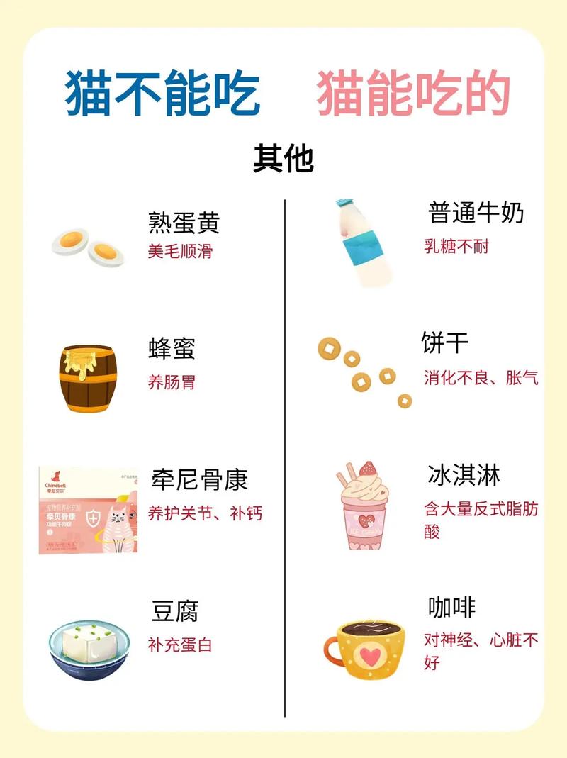 揭秘貓咪的飲食奧秘，一份全面解析