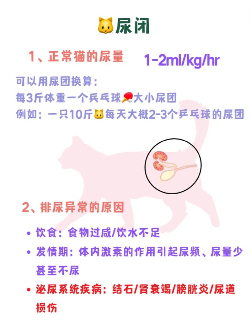 貓咪尿量異常？了解如何應(yīng)對(duì)貓咪尿量大問(wèn)題