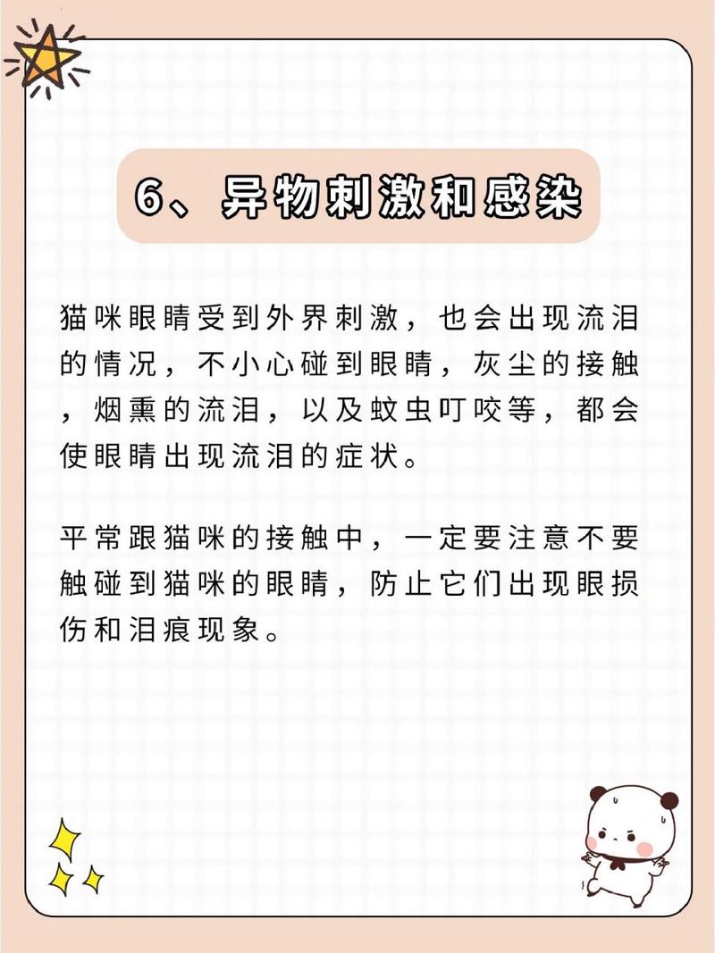 貓咪的淚水，為什么它們會(huì)在臉上擦淚痕