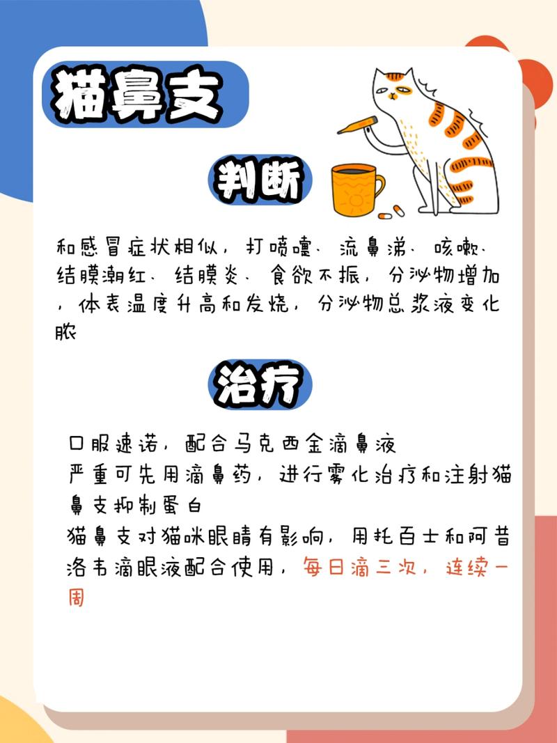 貓咪著涼感冒，如何照顧生病的小主子