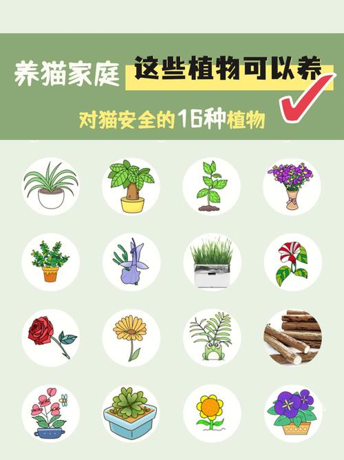 貓咪最?lèi)?ài)的10種安全植物