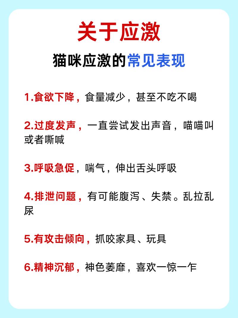 貓咪睡眠時(shí)為何會(huì)呼吸困難？