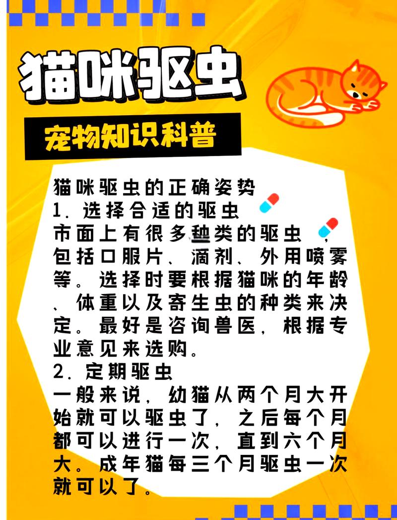 揭秘貓咪為何拉出粘膜，健康狀況的警示信號(hào)