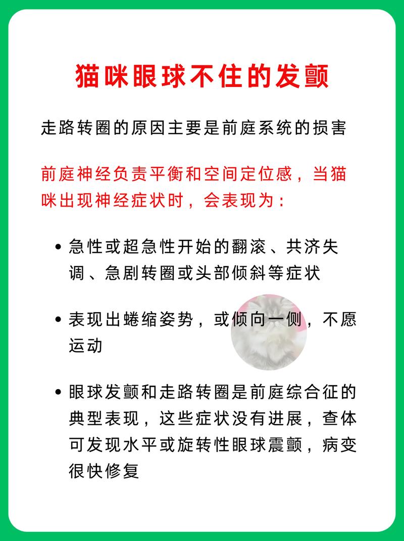 揭秘貓咪眼球錯位的秘密