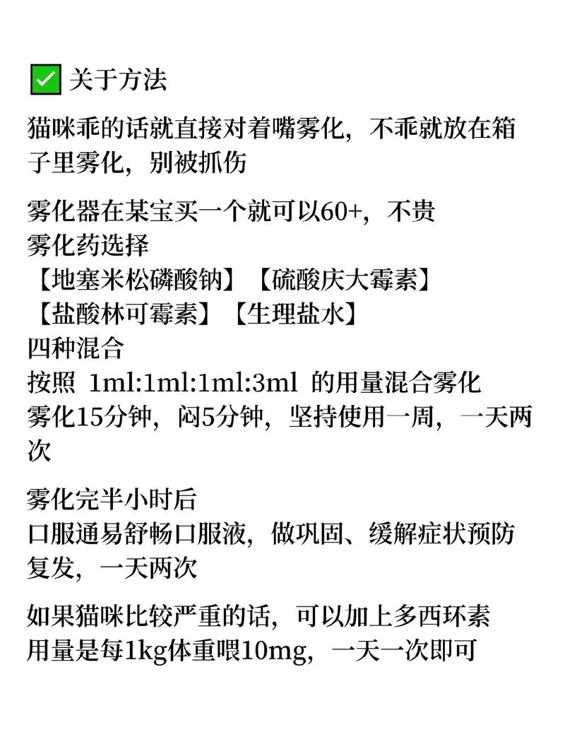 貓咪的小確幸與大難題——探討如何有效給貓咪喂藥