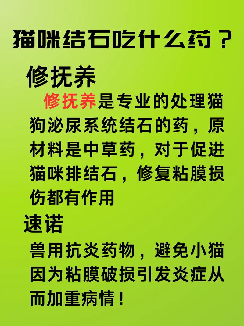 貓咪排泄物為何呈綠色？你需要了解的真相