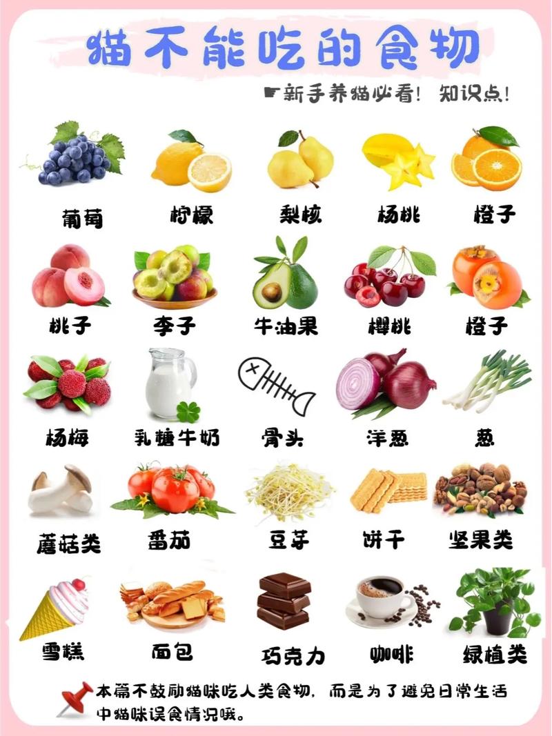 貓咪長(zhǎng)胖食品