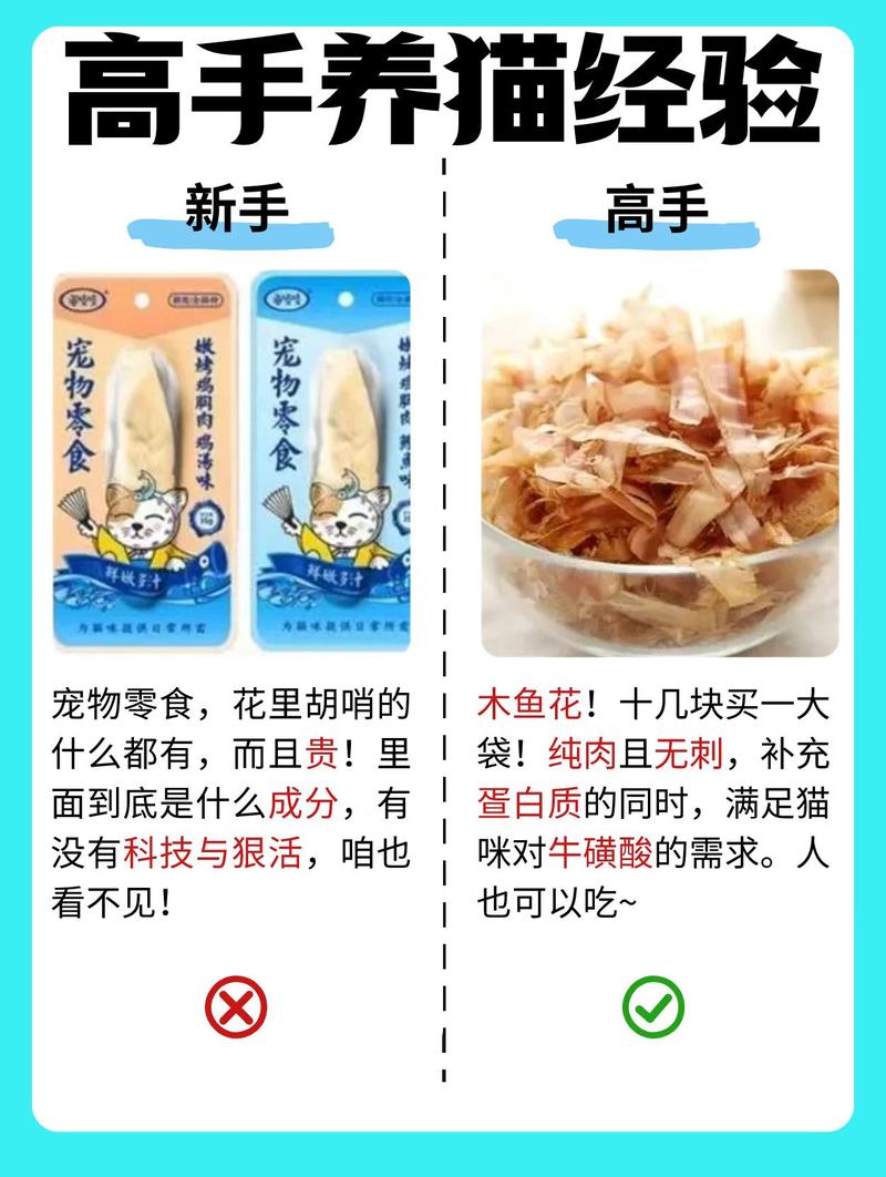 如何成為貓咪飼養(yǎng)的高手？