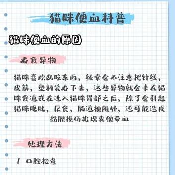 貓咪便血，潛在疾病的警示信號(hào)