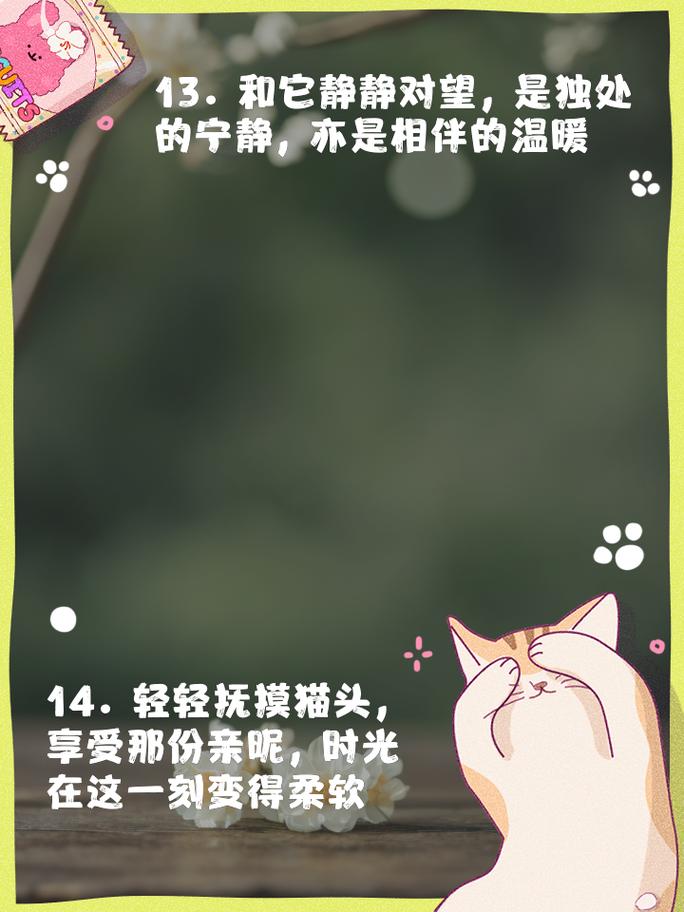 喵星人的生活哲學(xué)，貓咪是如何優(yōu)雅地度過每一天的