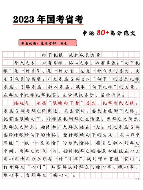 從教訓(xùn)貓咪中汲取成長的養(yǎng)分