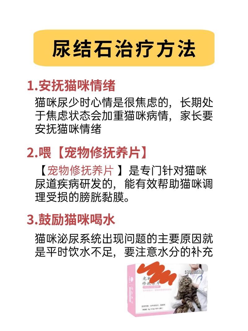 如何預(yù)防貓咪尿道結(jié)石，專家建議與實(shí)用指南