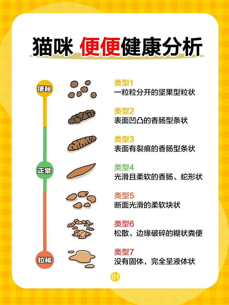 貓咪鹽水漱口，貓咪的健康秘訣