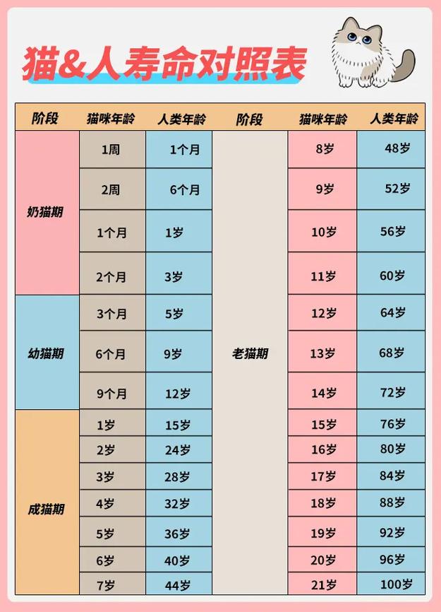 貓咪到了哪個(gè)年齡不再淘氣？