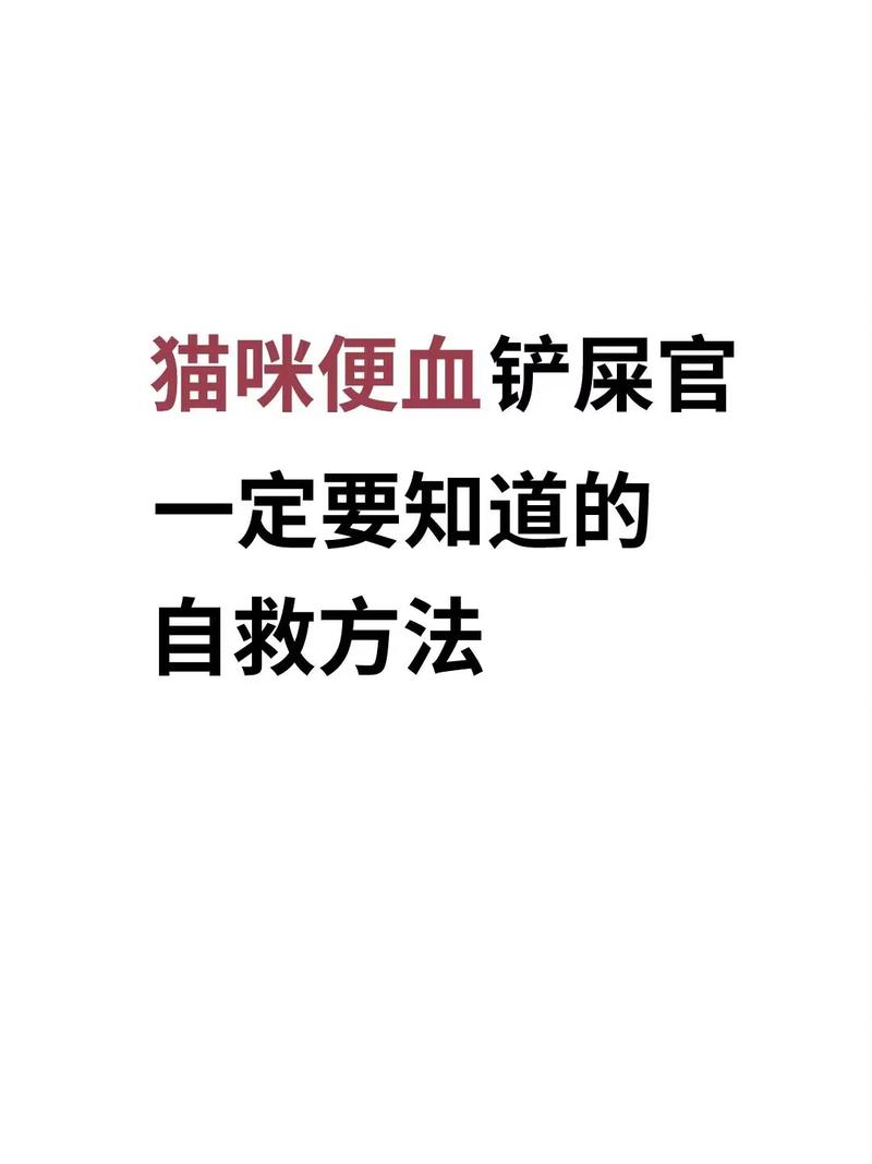 貓咪便血，警惕潛在健康問題的信號