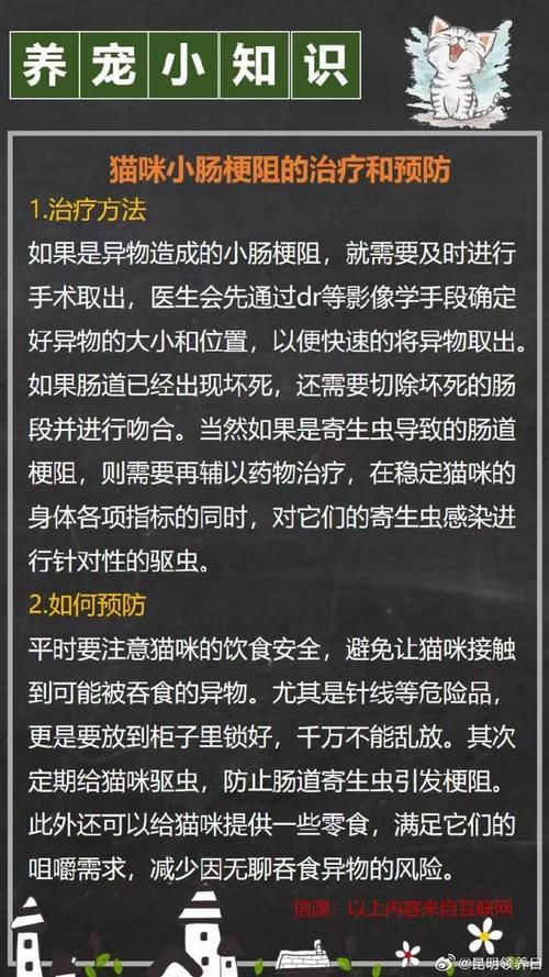 貓咪吃錯了東西，竟然出現(xiàn)肚子抽搐？小心異物梗阻