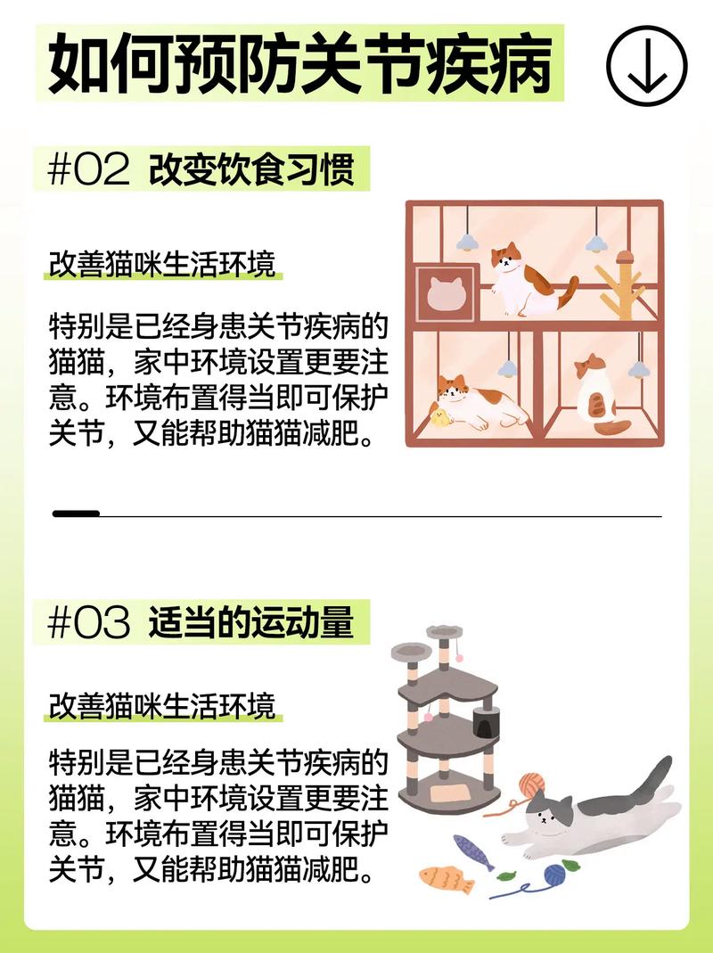 揭秘貓咪軟骨，神秘成分與健康益處