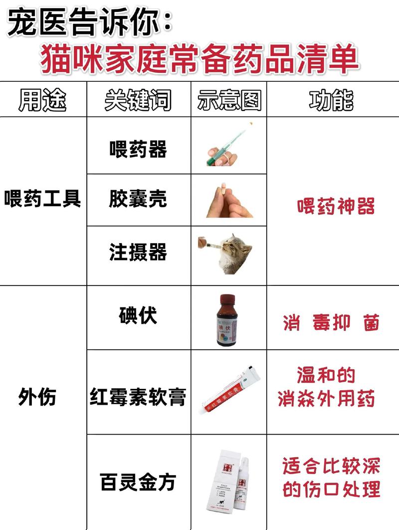 貓咪專用藥品正確使用指南