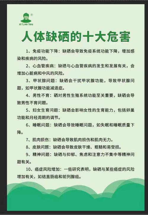 揭秘貓咪配種遺傳奧秘，如何確保下一代的美麗與健康