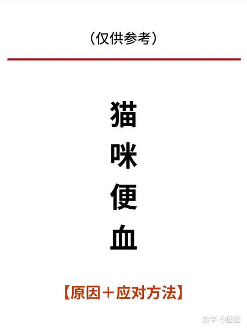 貓咪也有便秘問題，了解和應(yīng)對方法