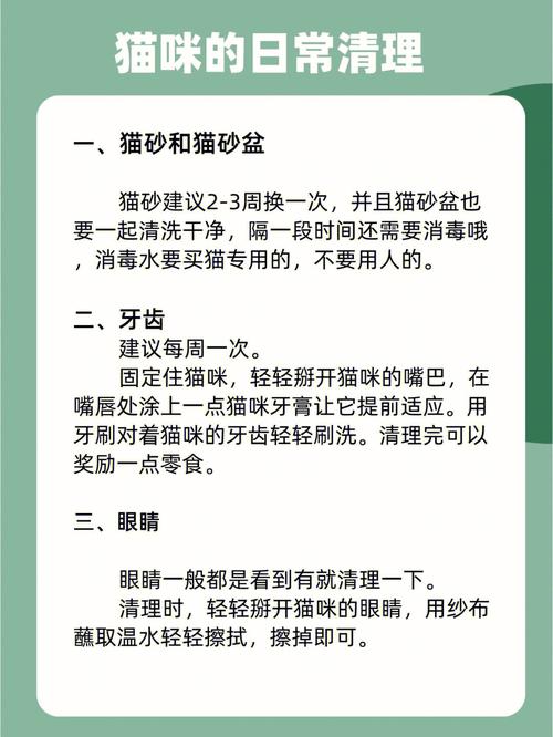 貓咪每日需水量，保持健康的關(guān)鍵