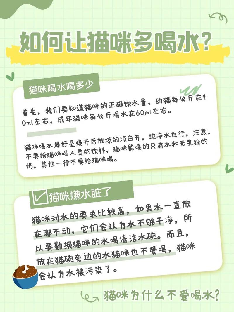 貓咪喝水秘籍，掌握正確飲水技巧讓它們健康又快樂