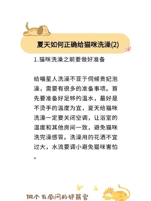 貓咪如何愛(ài)上洗澡？教你五步輕松搞定