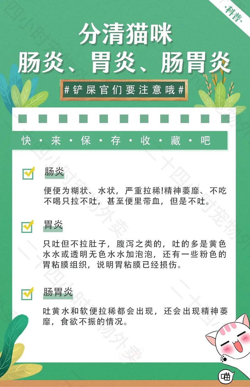 守護(hù)寵物健康的小貼士