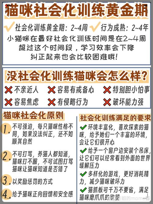 清蒸魚(yú)的秘密——貓咪的烹飪秘籍