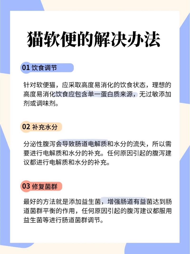 巧解謎題，幼貓的日常護(hù)理與健康管理指南