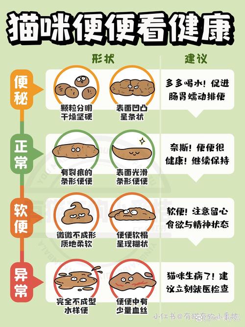 貓咪拉屎正常嗎？養(yǎng)寵人必備的5大觀察要點(diǎn)