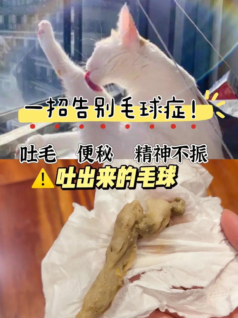 貓咪撓癢掉毛，為什么你的毛球會(huì)突然變大？