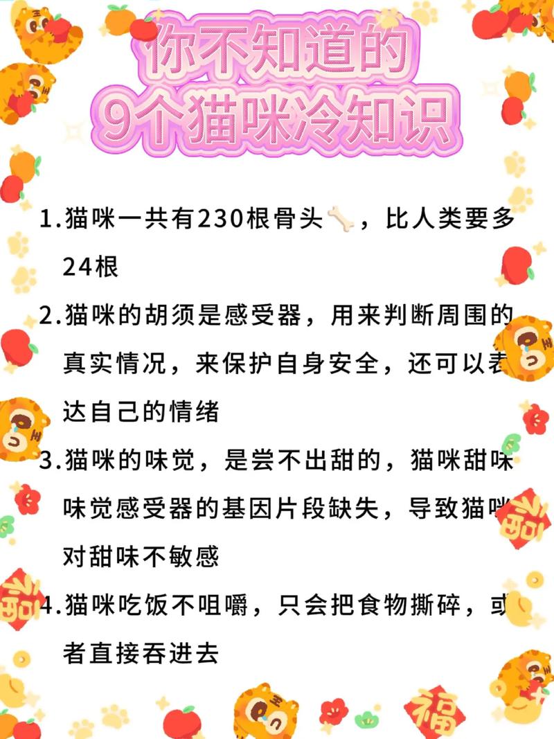 貓咪的神秘世界，10個你可能不知道的趣味小知識