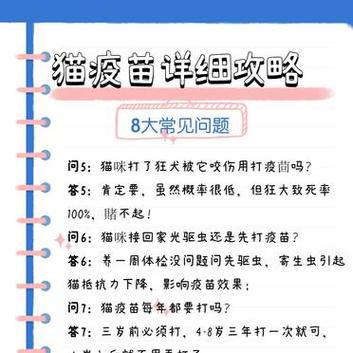 貓咪打疫苗，全攻略——護(hù)航毛孩子健康成長的必經(jīng)之路