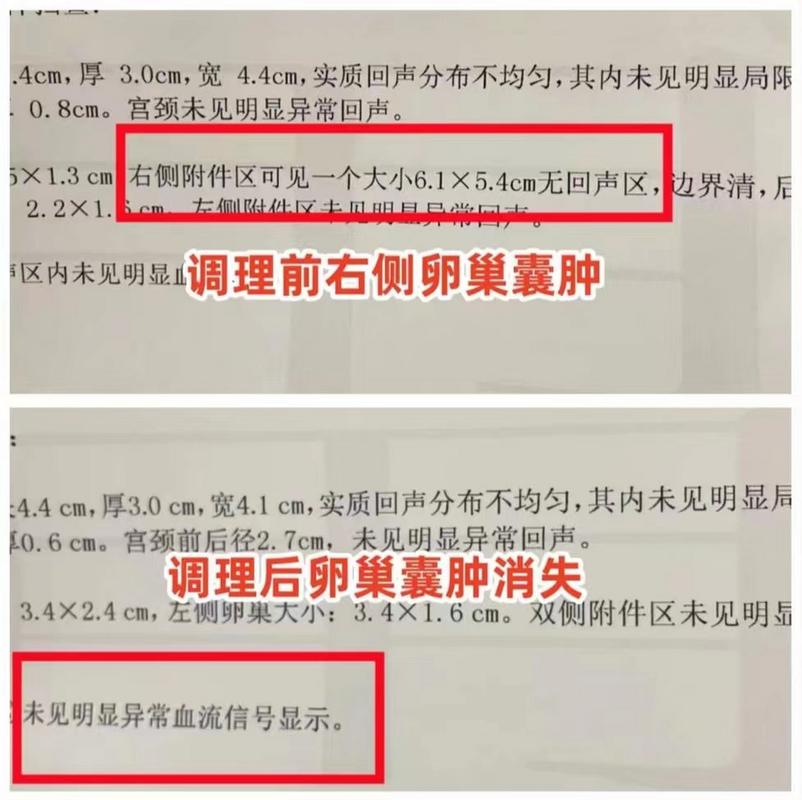 揭秘貓咪下腹異常，囊腫的成因與防治