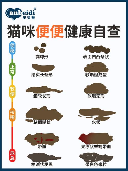 貓咪拉稀如水？這幾種情況需警惕