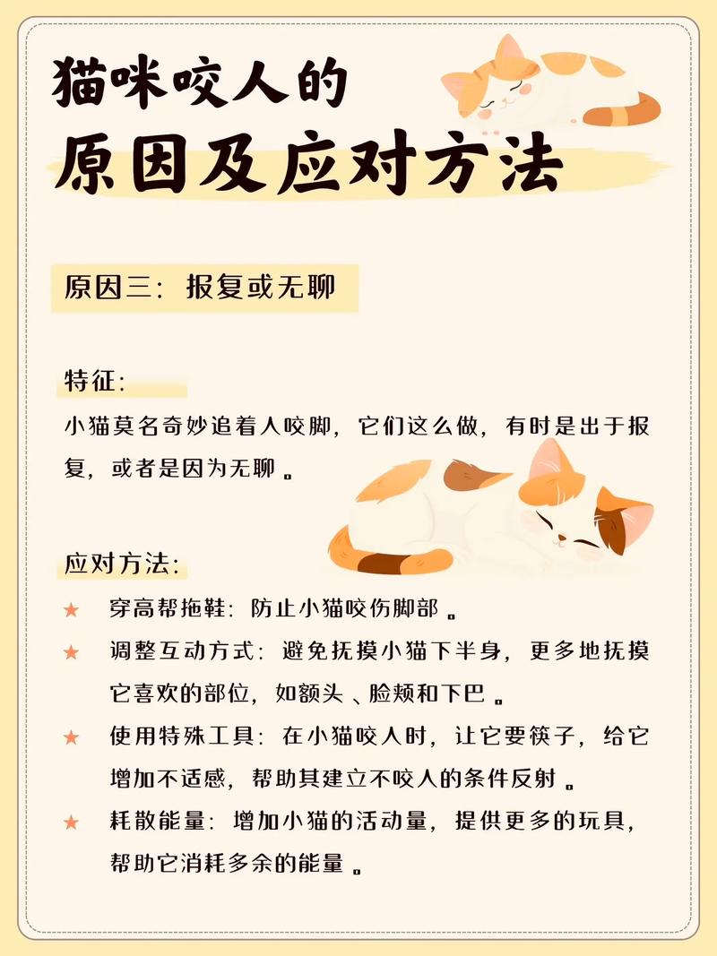 貓咪的小秘密——如何巧妙應(yīng)對(duì)貓咪咬人