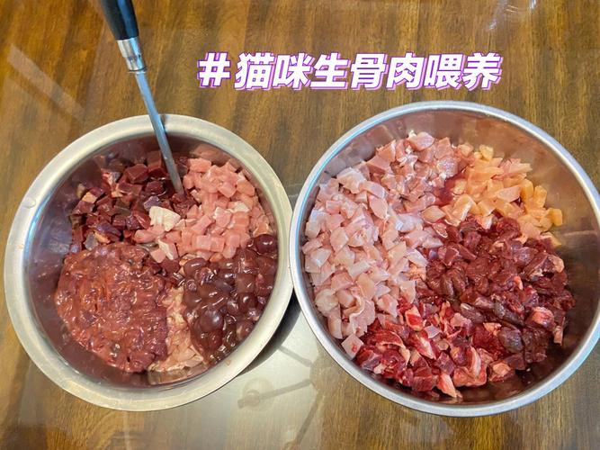 貓咪能吃生肉嗎？揭秘貓科動(dòng)物的飲食習(xí)性