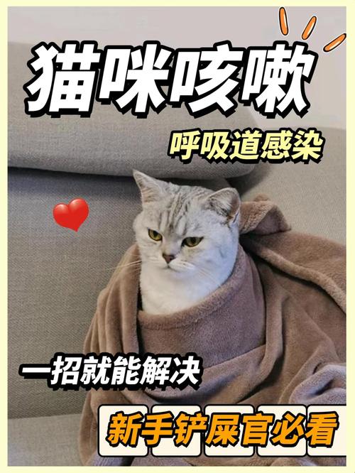 貓咪也會咳嗽？揭秘貓科動物的健康警報