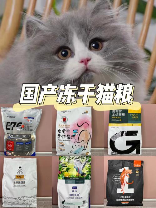 貓咪可以享用白糖嗎？揭秘貓糧與甜食的平衡之道