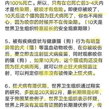 貓咪大出血檢查，識(shí)別與應(yīng)對(duì)常見健康問題